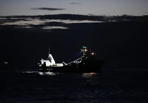 Do You Need Special Wiring for Marine LED Lights?